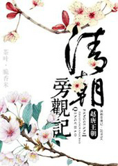 清朝旁觀記