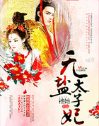 无盐太子妃